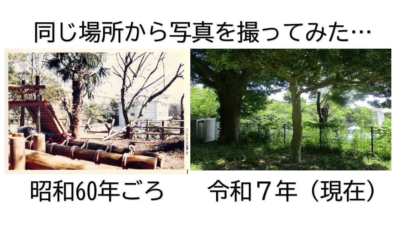 スライド2